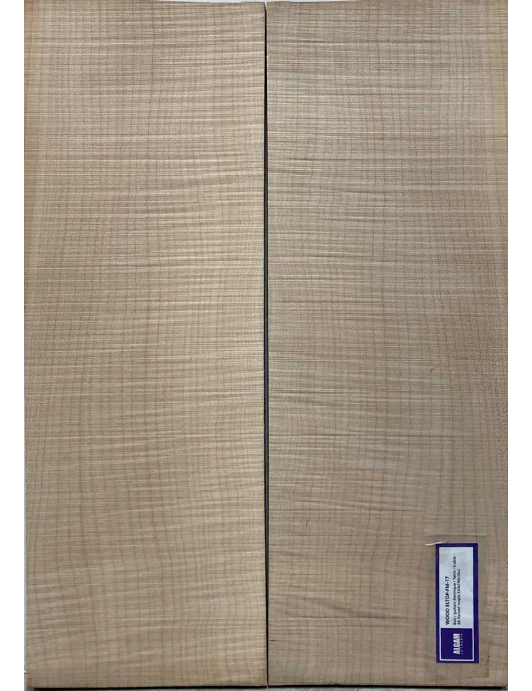 LUTHERIE ELTOP-FM-17 | MusicGoodDeal