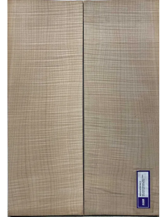 LUTHERIE ELTOP-FM-17 | MusicGoodDeal