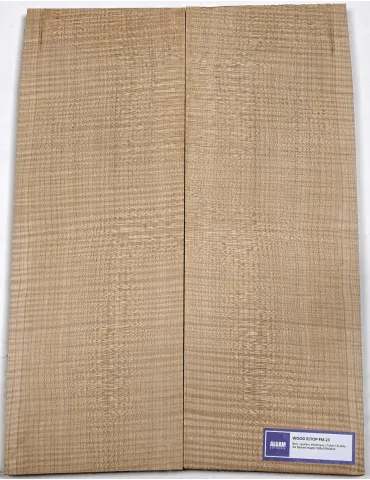 LUTHERIE ELTOP-FM-23 | MusicGoodDeal