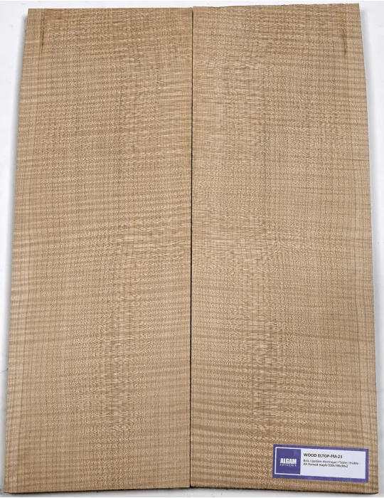 LUTHERIE ELTOP-FM-23 | MusicGoodDeal