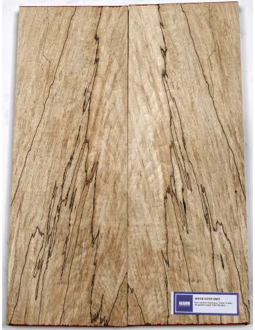 LUTHERIE ELTOP-SM-01 | MusicGoodDeal