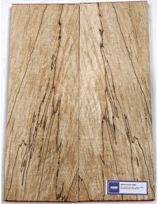 LUTHERIE ELTOP-SM-01 | MusicGoodDeal