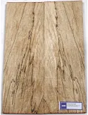 LUTHERIE ELTOP-SM-01 | MusicGoodDeal