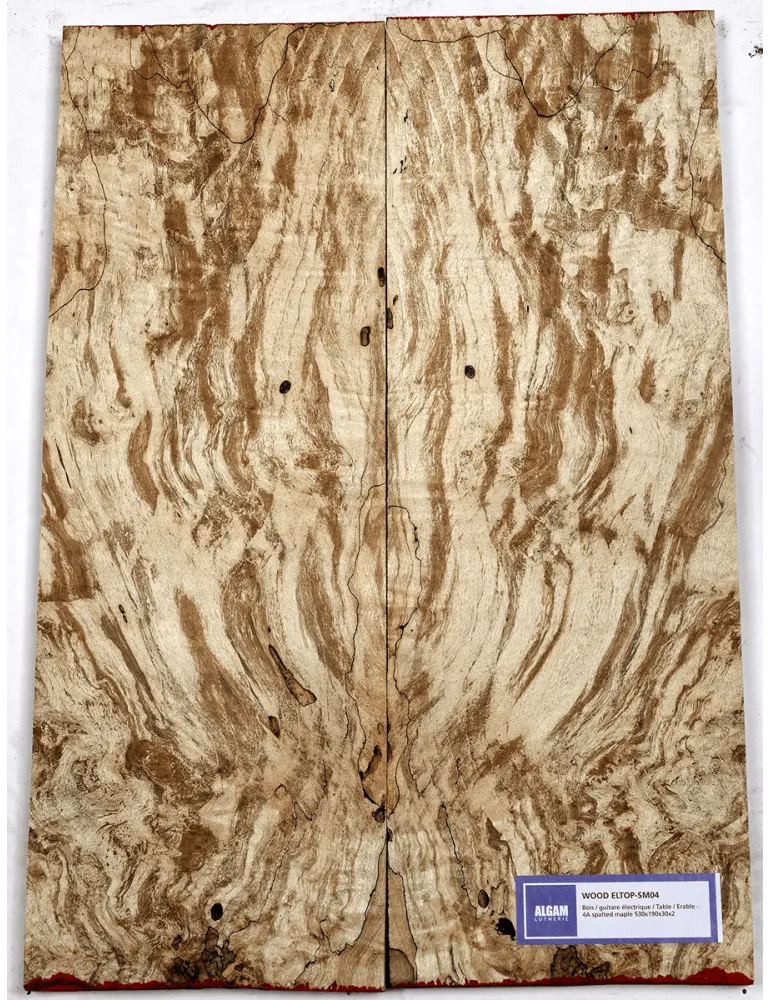 LUTHERIE ELTOP-SM-04 | MusicGoodDeal