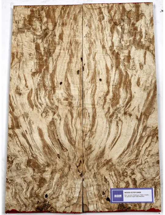 LUTHERIE ELTOP-SM-04 | MusicGoodDeal