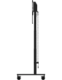 IIYAMA MD-CAR2031-B1 | MusicGoodDeal
