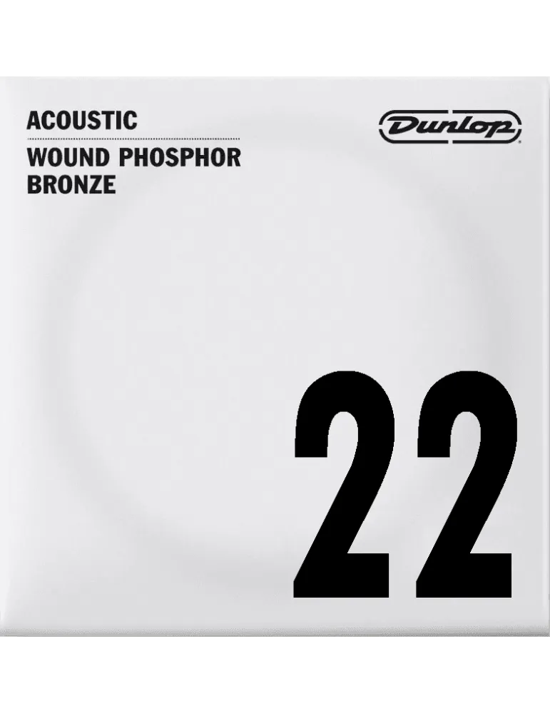 DUNLOP DAP22 | MusicGoodDeal