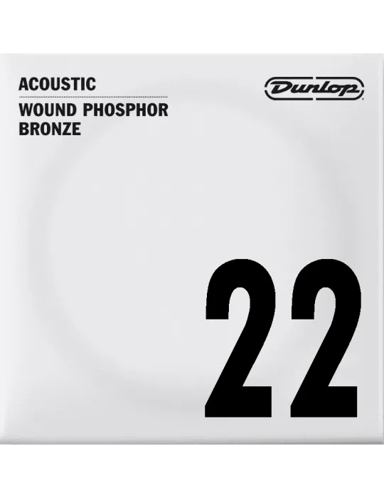 DUNLOP DAP22 | MusicGoodDeal