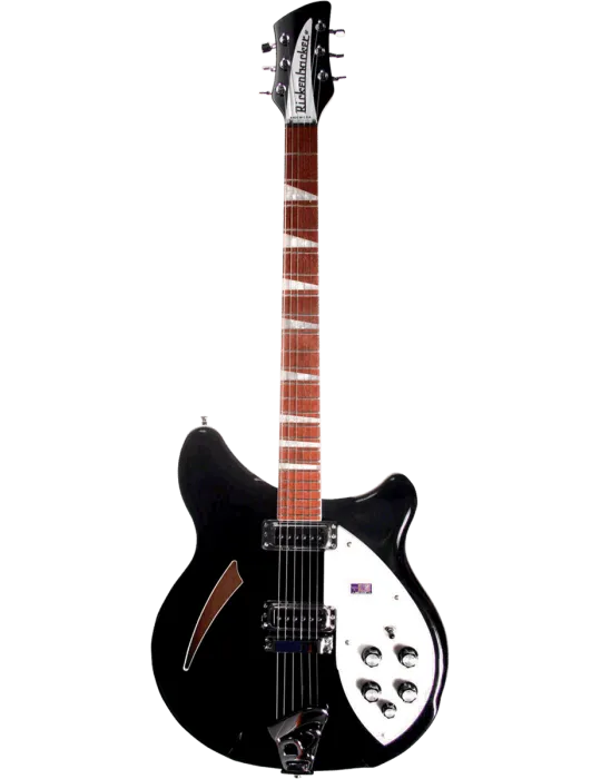 RICKENBACKER 360JG | MusicGoodDeal