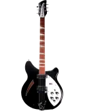 RICKENBACKER 360JG | MusicGoodDeal