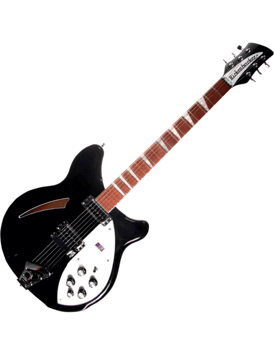RICKENBACKER 360JG | MusicGoodDeal