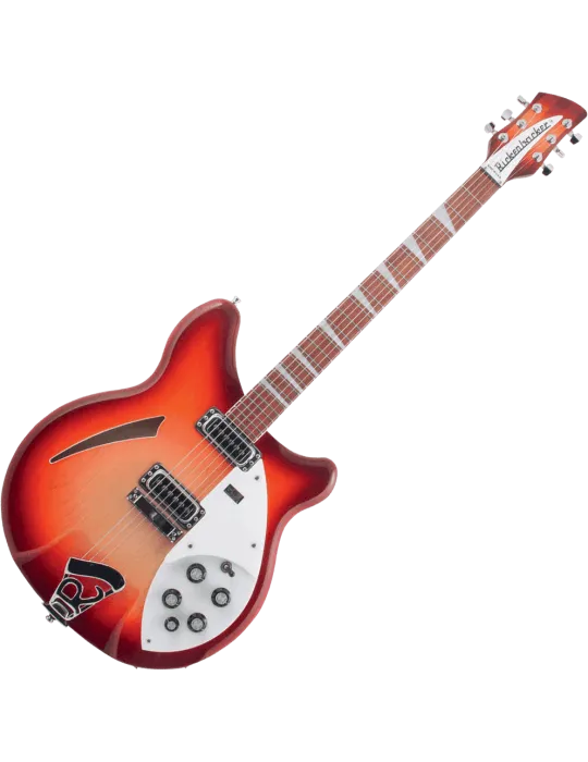 RICKENBACKER 360FG | MusicGoodDeal