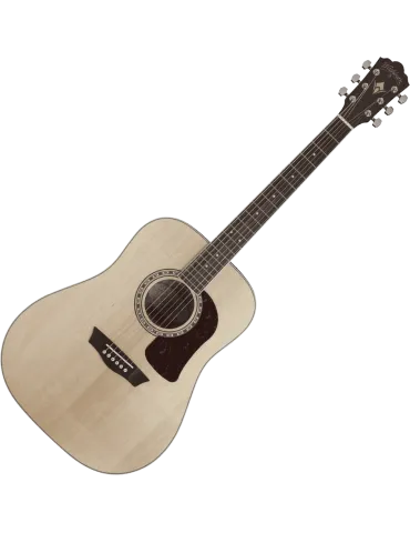 WASHBURN HD10S | MusicGoodDeal 2