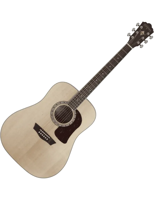 WASHBURN HD10S | MusicGoodDeal