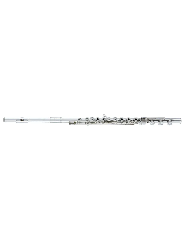 ALTUS ASA15RB-S | MusicGoodDeal
