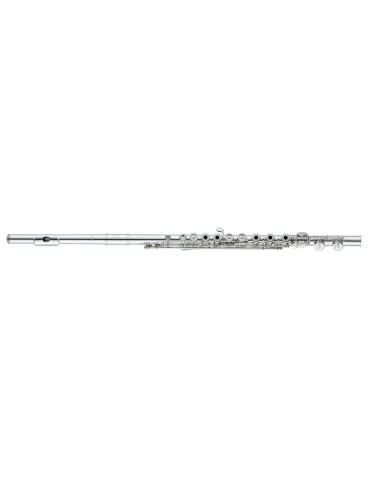ALTUS ASA15R-S | MusicGoodDeal