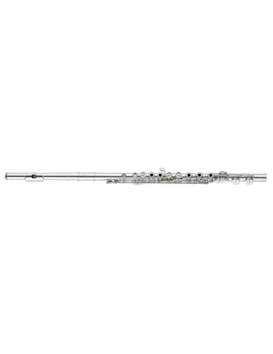 ALTUS ASA12R-S | MusicGoodDeal