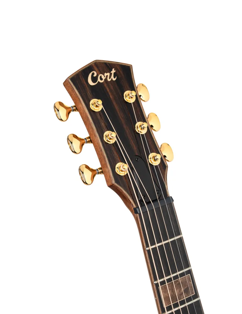 CORT MBURG-CTBD | MusicGoodDeal
