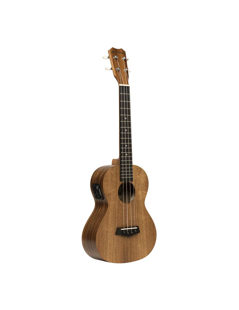 ISLANDER AT-4 FLAMED EQ | MusicGoodDeal