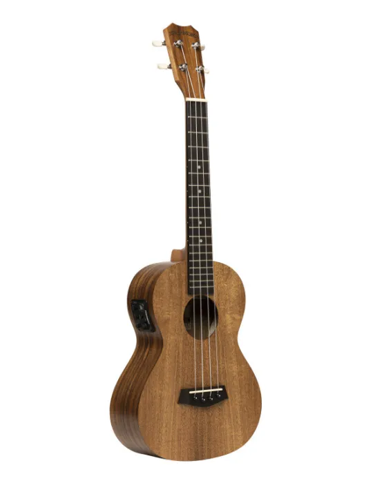 ISLANDER AT-4 FLAMED EQ | MusicGoodDeal