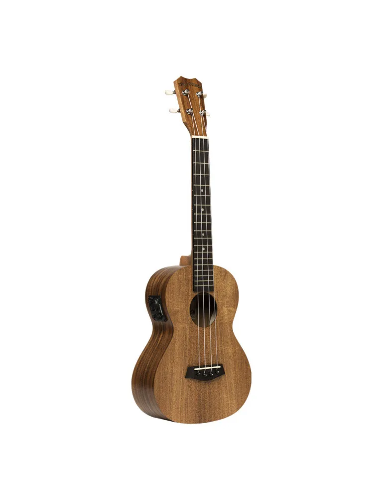 ISLANDER AT-4 FLAMED EQ | MusicGoodDeal