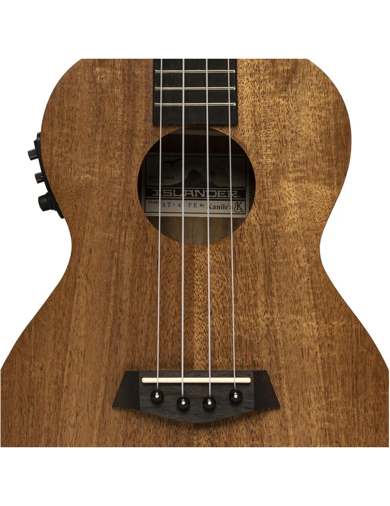 ISLANDER AT-4 FLAMED EQ | MusicGoodDeal