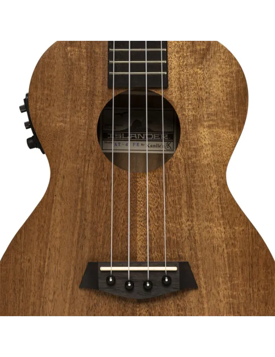 ISLANDER AT-4 FLAMED EQ | MusicGoodDeal