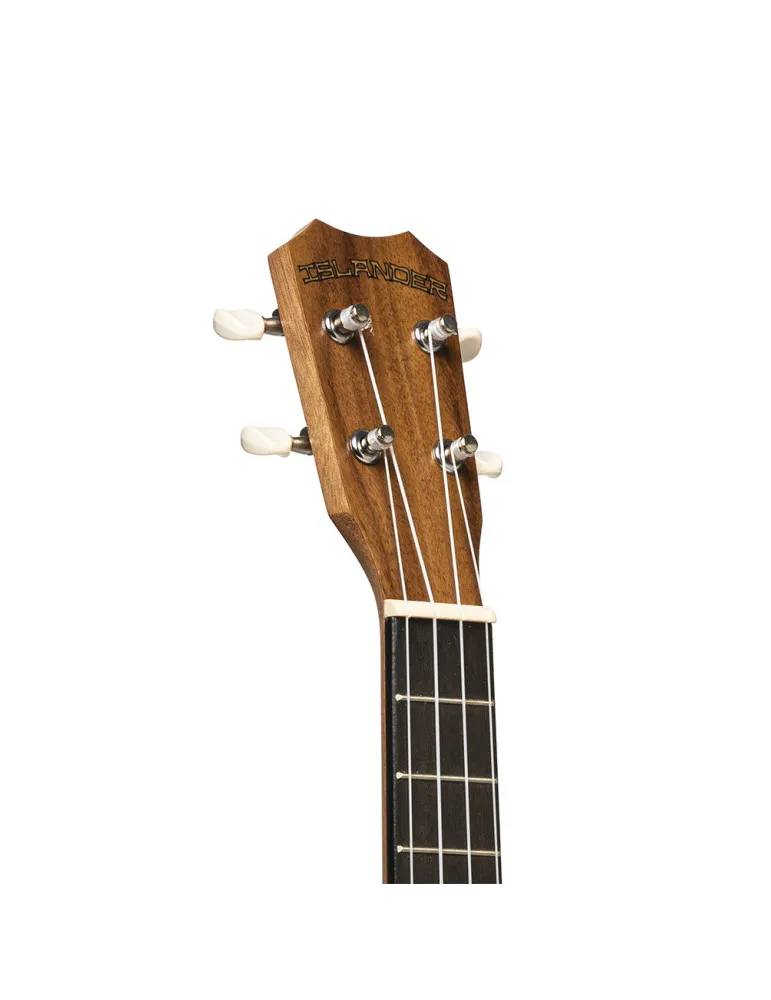 ISLANDER AT-4 FLAMED EQ | MusicGoodDeal