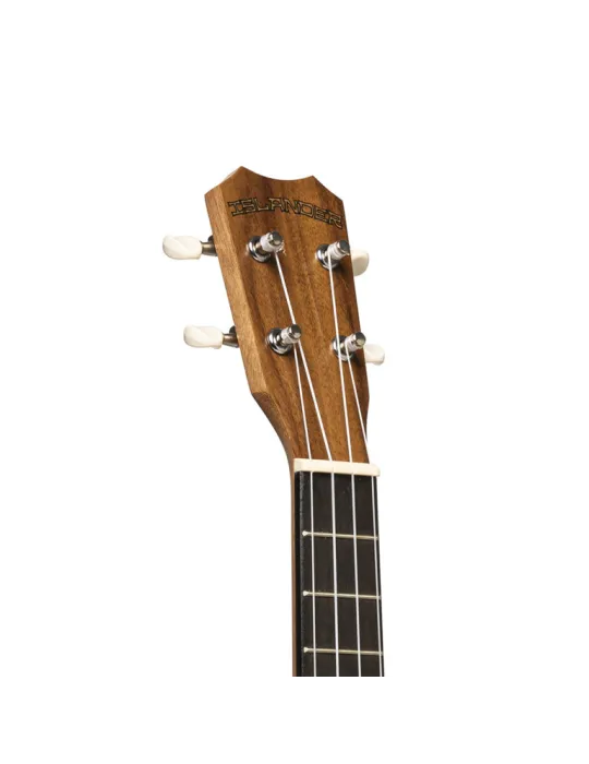 ISLANDER AT-4 FLAMED EQ | MusicGoodDeal