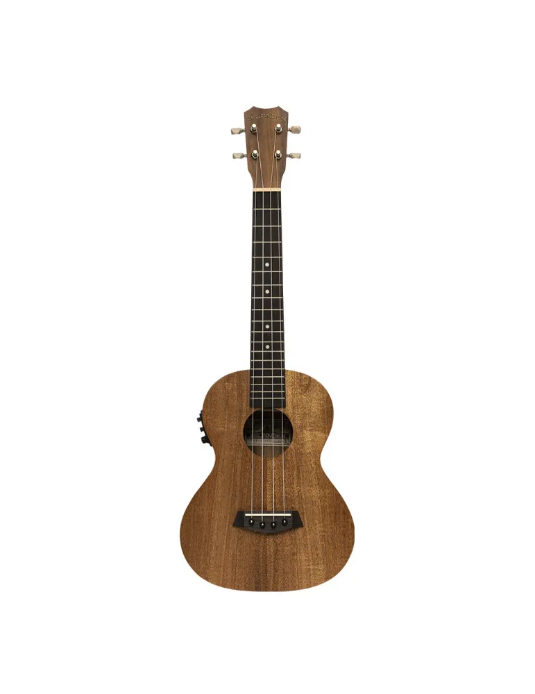 ISLANDER AT-4 FLAMED EQ | MusicGoodDeal