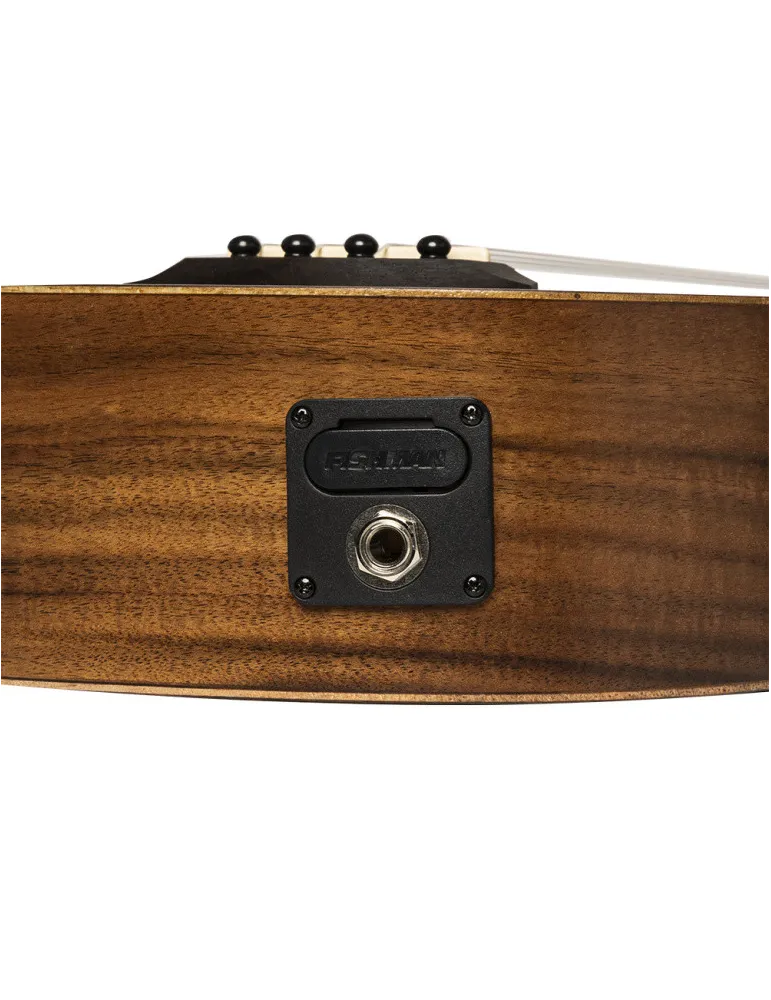 ISLANDER AT-4 FLAMED EQ | MusicGoodDeal