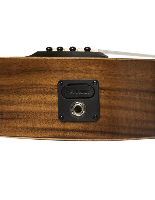 ISLANDER AT-4 FLAMED EQ | MusicGoodDeal