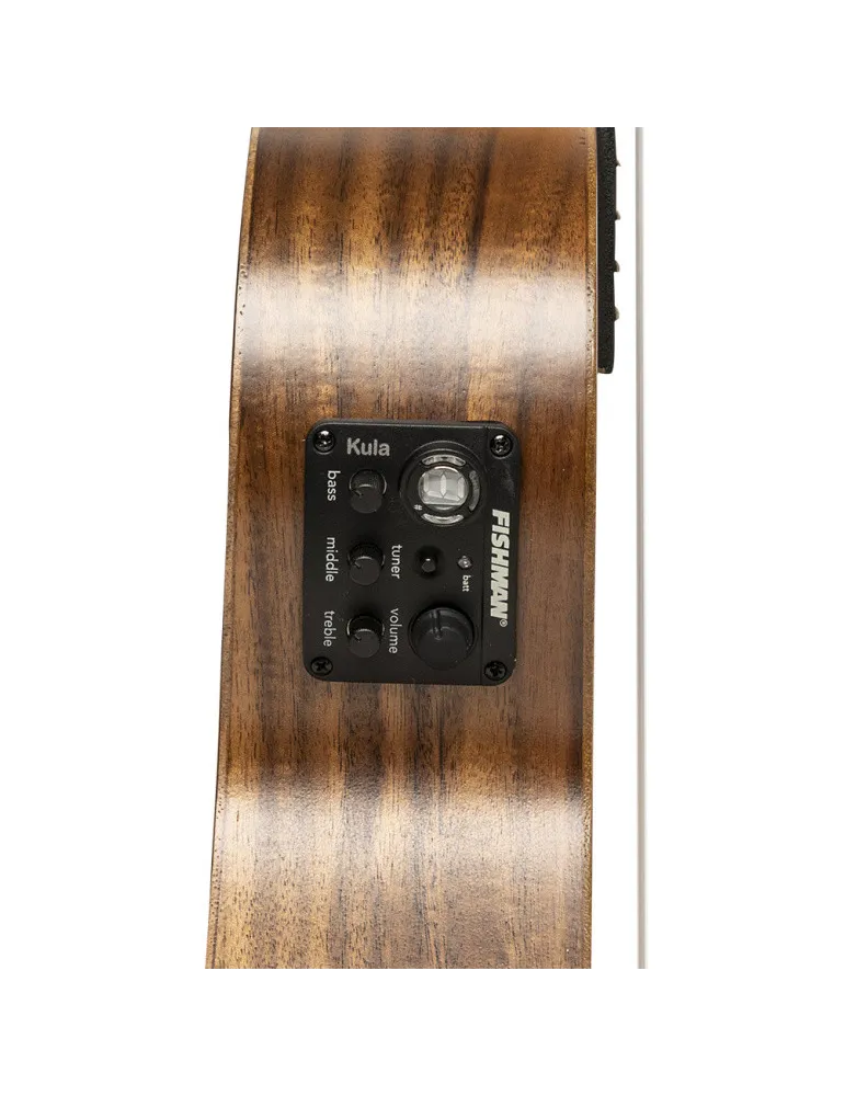 ISLANDER AT-4 FLAMED EQ | MusicGoodDeal