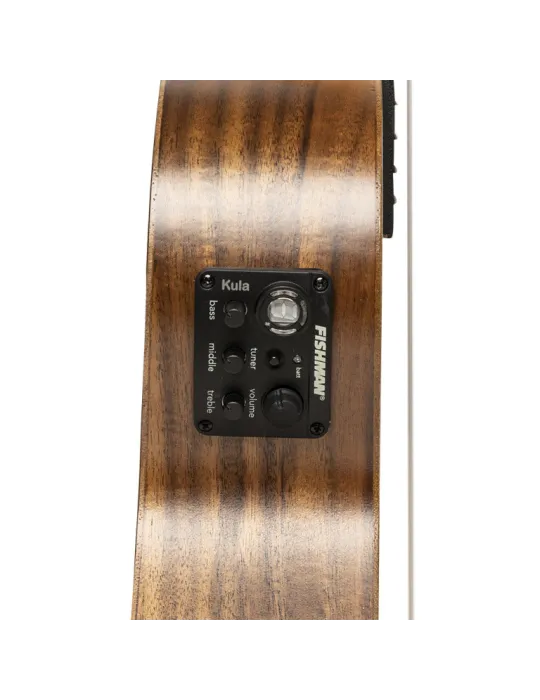 ISLANDER AT-4 FLAMED EQ | MusicGoodDeal