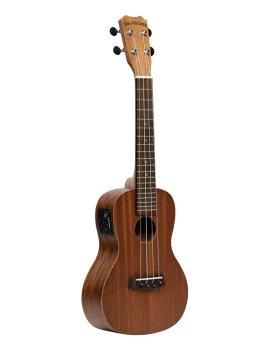 ISLANDER MC-4 EQ | MusicGoodDeal