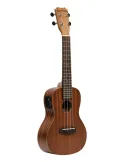 ISLANDER MC-4 EQ | MusicGoodDeal