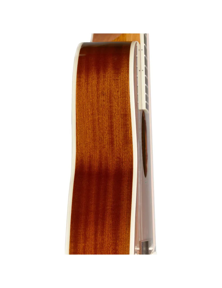 J.N GUITARS BES-A DCB | MusicGoodDeal