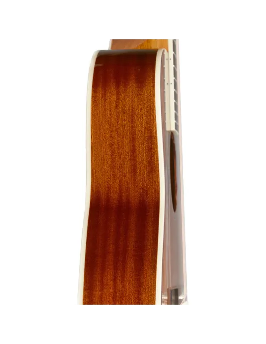 J.N GUITARS BES-A DCB | MusicGoodDeal