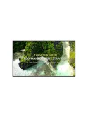 LG 86UL3QE Ecran LCD 86''  86UL3Q-E - UHD 3840x2160 350 cd/m2 16/7