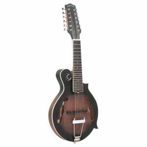 GOLD TONE F12 Guitare mandoline à 12 cordes avec corps de mandoline de type F, micro et étui GOLD TONE - 1