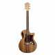 COLE CLARK GITARRE TL2EC-BLBL-HH ETUI