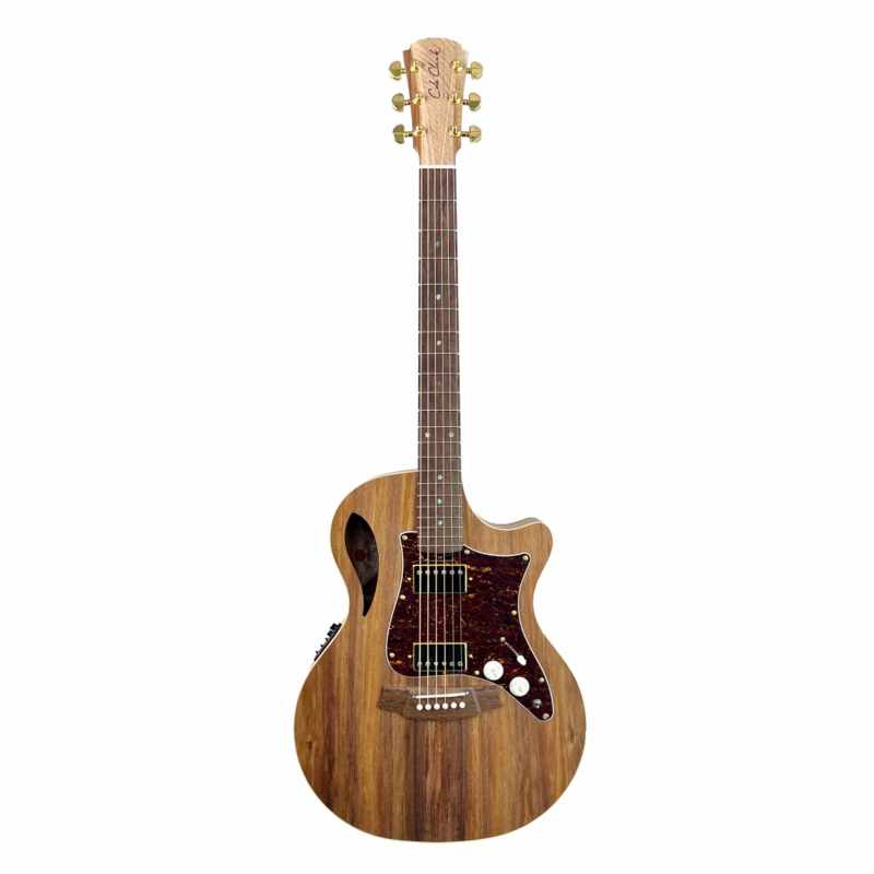 COLE CLARK GUITARRA TL2EC-BLBL-HH ESTUCHE