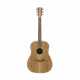 COLE CLARK FL2E-GITARRE, ETUI