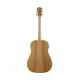 COLE CLARK FL2E-GITARRE, ETUI