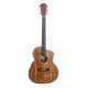 COLE CLARK GITARRE STUDIO SAN1EC