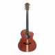 COLE CLARK GITARRE STUDIO SAN1EC