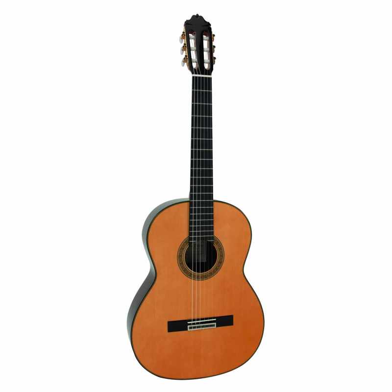 ESTEVE GITARRE MOD.11 CEDAR SOFT CASE