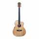 COLE CLARK GITARRE STUDIO SAN1EC