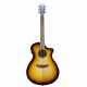 BREEDLOVE DISCOVERY S CONCERTO CE EDGE