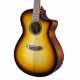 BREEDLOVE DISCOVERY S CONCERTO CE EDGE